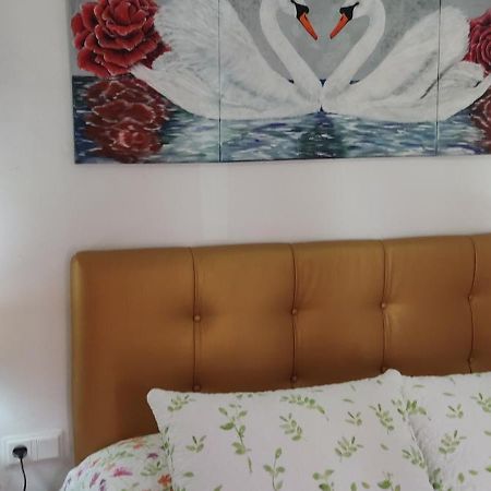 Apartamentos Candil By Mila Prieto El Bosque Exterior photo